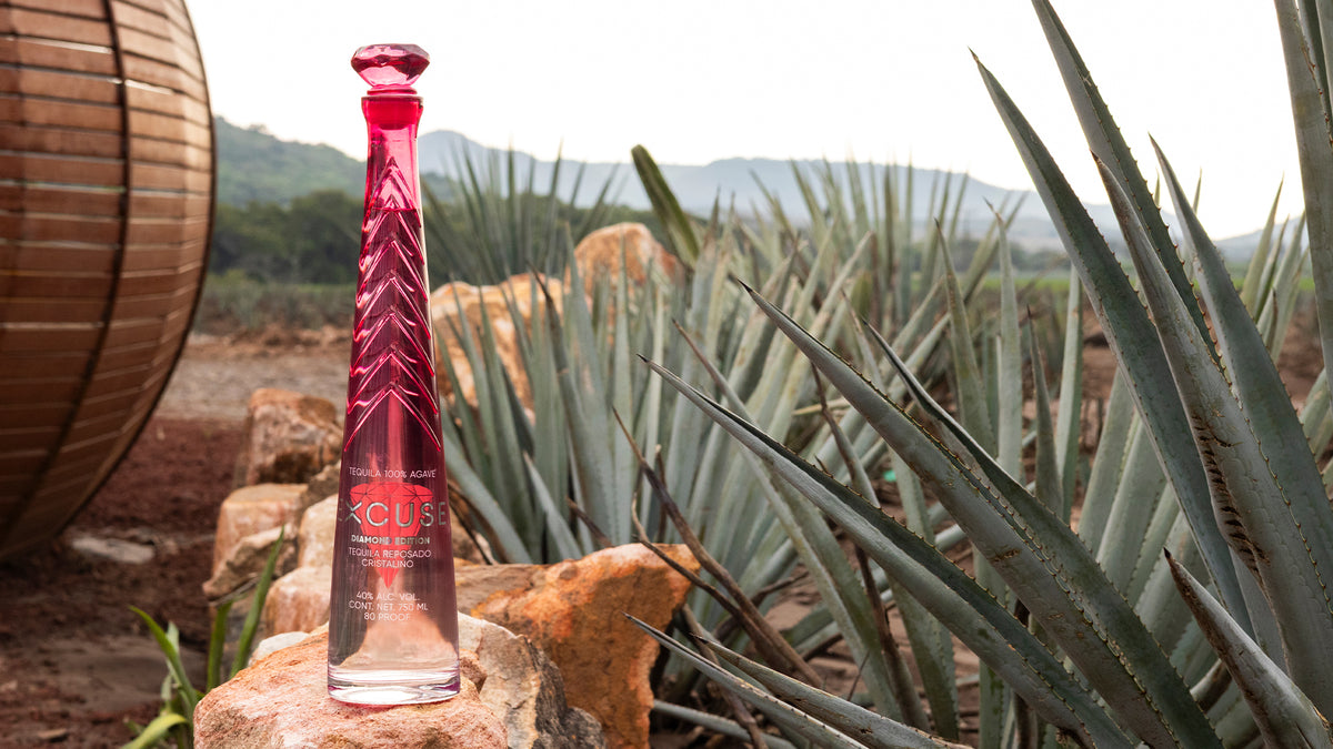 Excuse Tequila Diamond Top Edition bottle in an agave field in Ayotlán, Jalisco