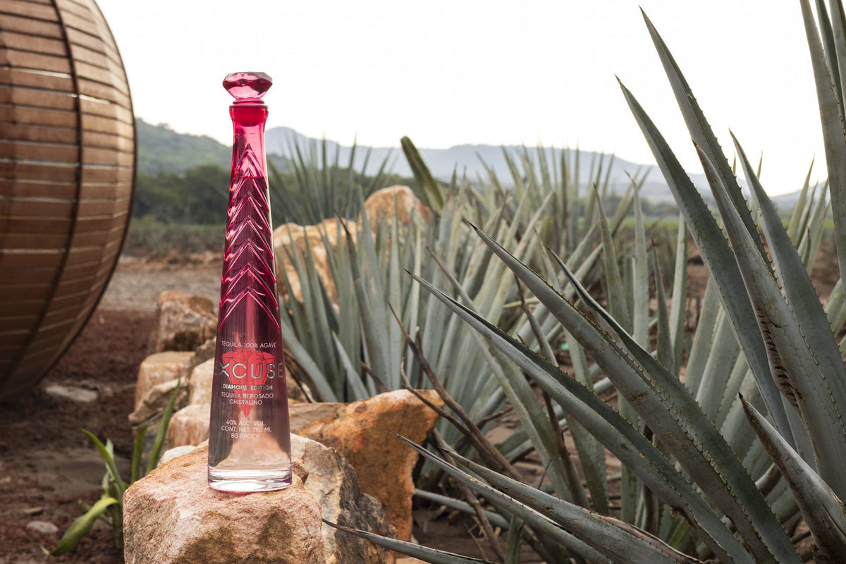 Excuse Tequila Diamond Top Edition bottle on stone in the agave fields of Ayotlán, Jalisco